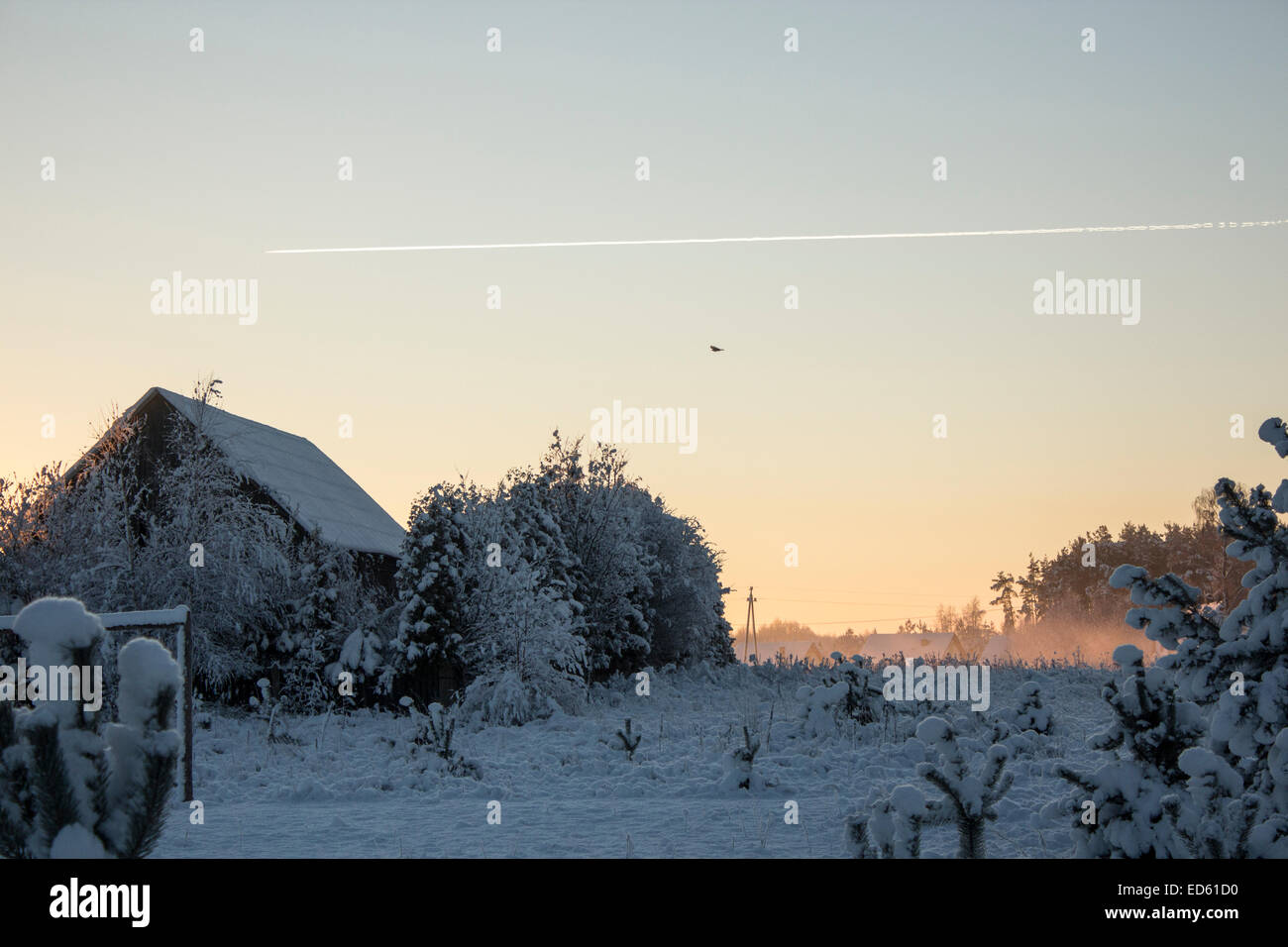 Winterlandschaft im Morgengrauen Stockfoto