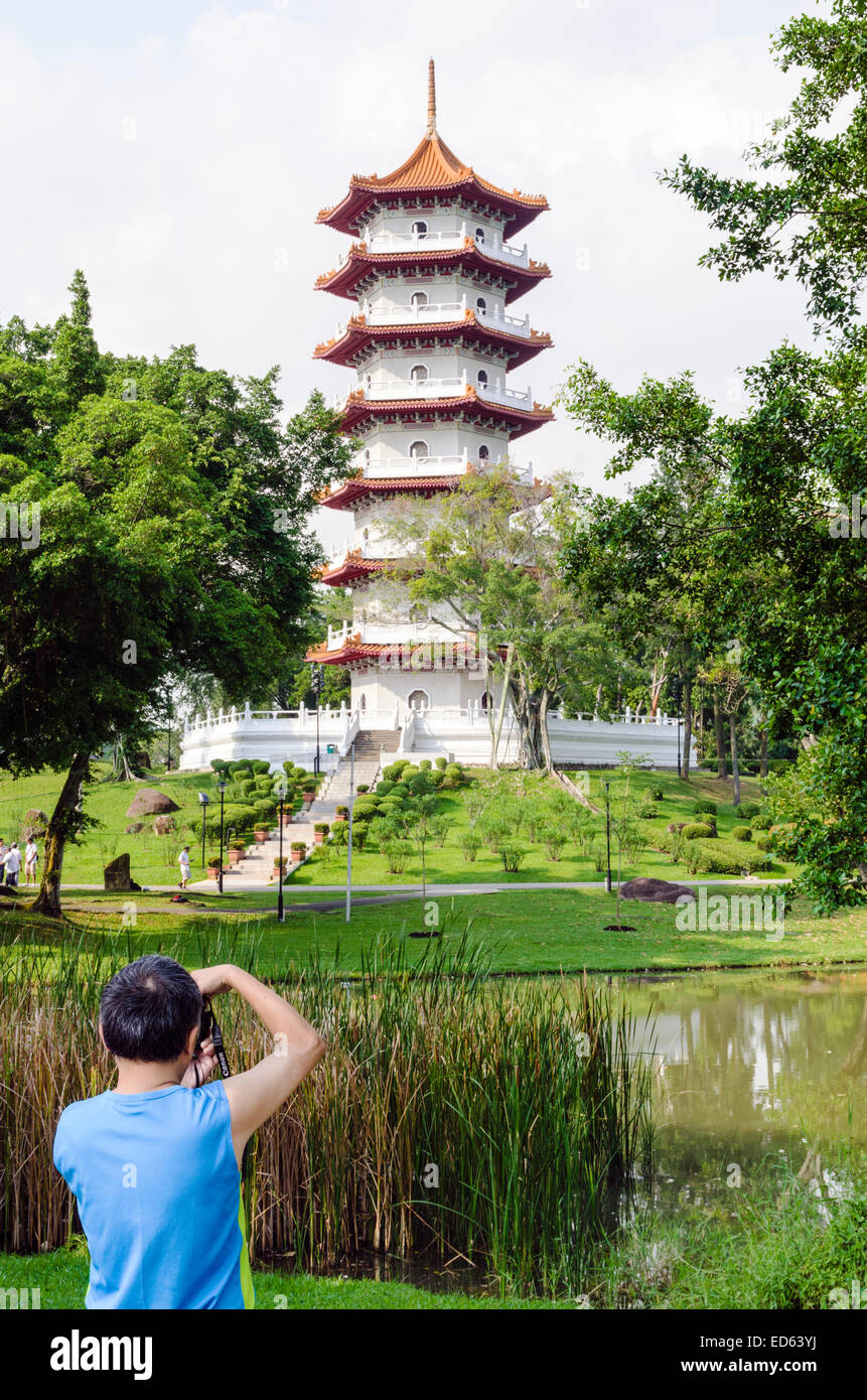 Mann, der ein Foto von den 7 Etagen-Pagode im chinesischen Garten, Singapur Stockfoto
