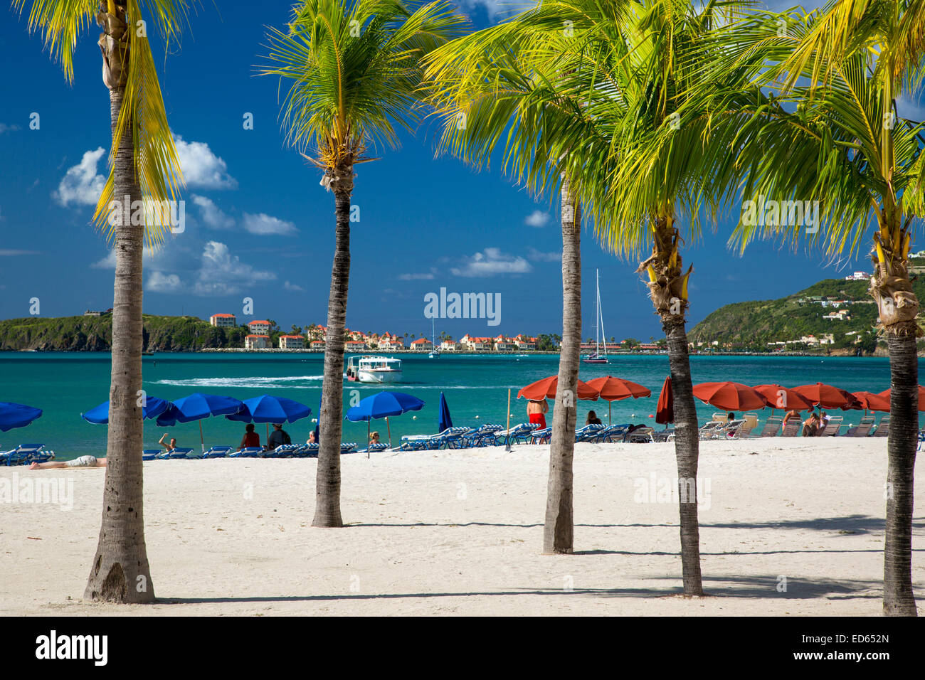 Palmen am Strand in Philipsburg, Sint Maarten, West Indies Stockfoto