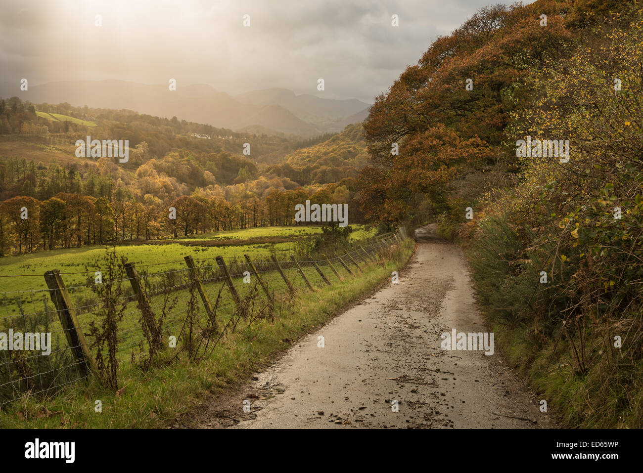 Platzen des Sonnenlichts über Landstraße in der Nähe von Latrigg im Herbst im englischen Lake District National Park, England, UK Stockfoto