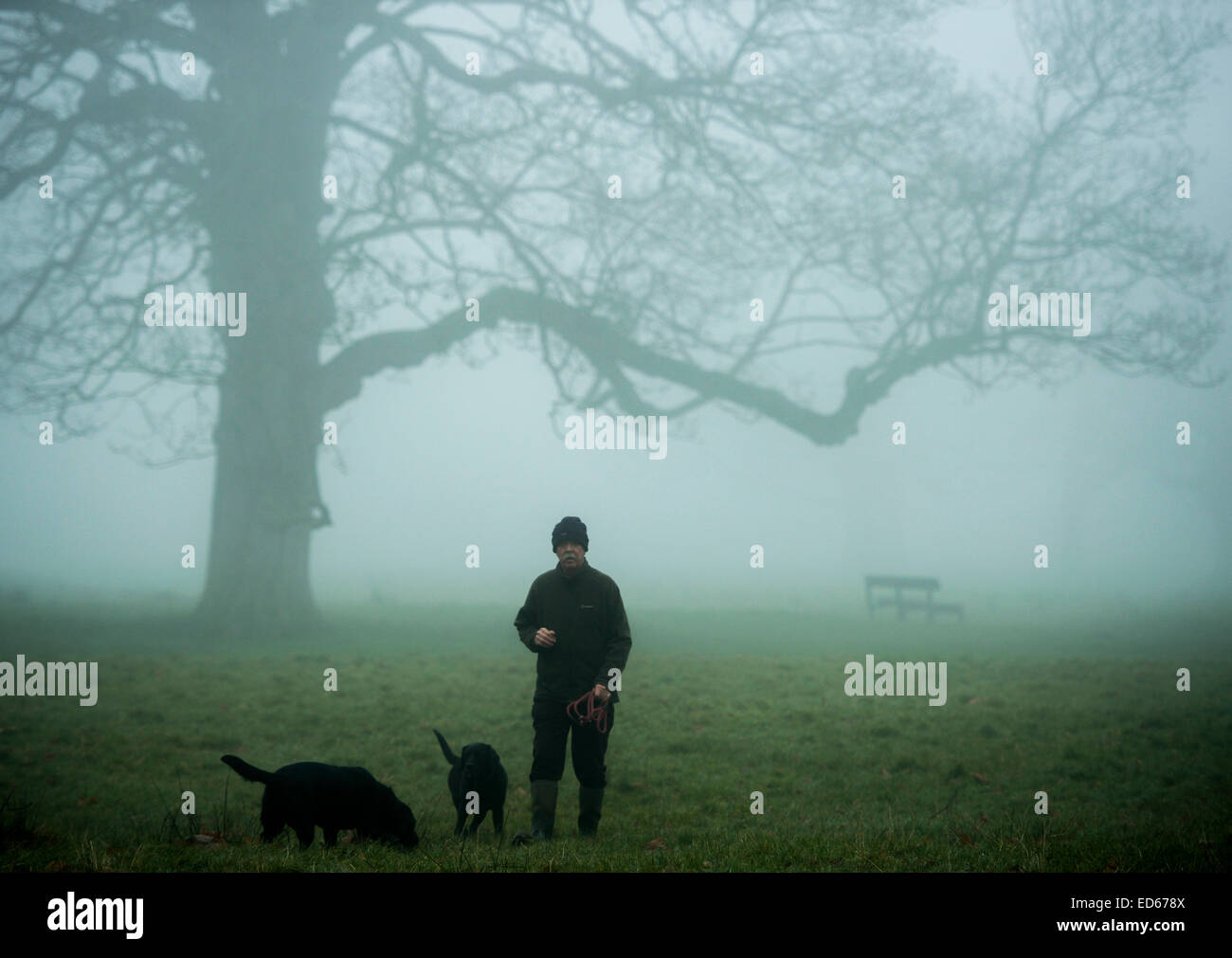 Carlisle, UK. 29. Dezember 2014. UK-Wetter: Nebel Umhänge Wanderer in einem gespenstischen Nebel durchstreifen Rickerby Park in Carlisle, Cumbria: 29. Dezember 2014 STUART WALKER / ALAMY Stockfoto