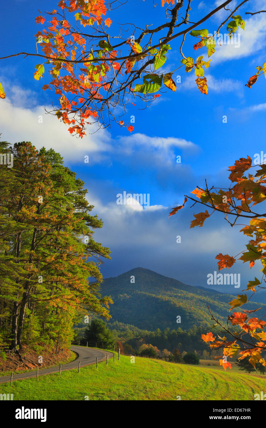 Rundweg, Cades Cove, tolle Smoky Mountains National Park, Tennessee, USA Stockfoto