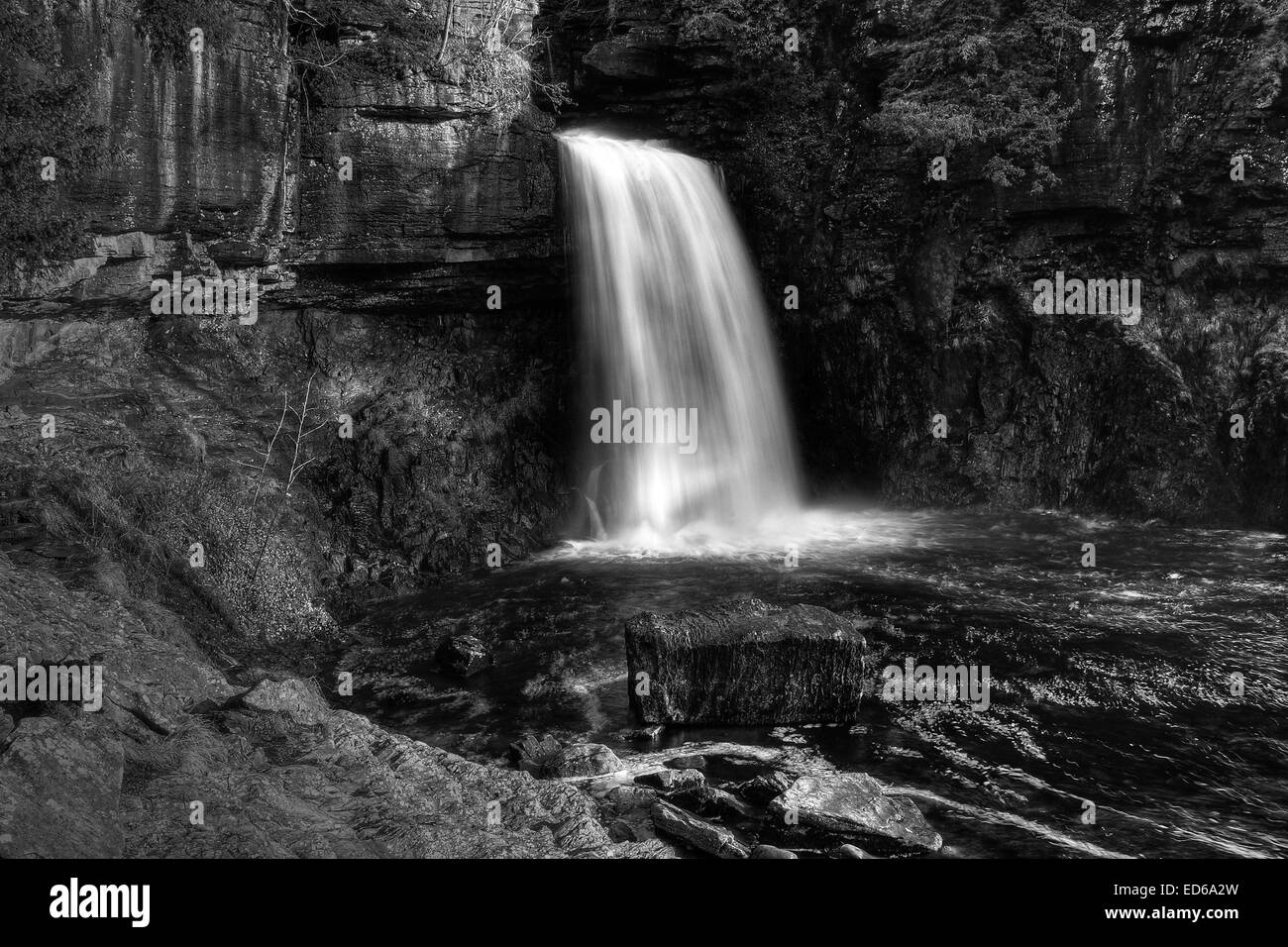 Thornton Kraft auf den Ingleton Wasserfall gehen in der Yorkshire Dales National Park, North Yorkshire. Stockfoto