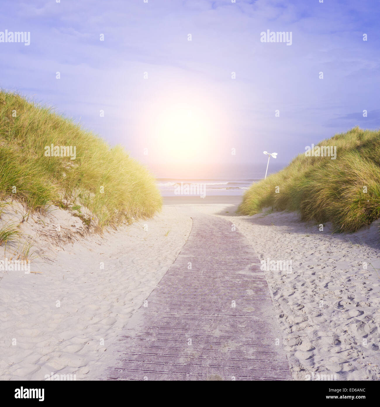 Weg zum Strand und Sonne (Himmel violett blau) Stockfoto