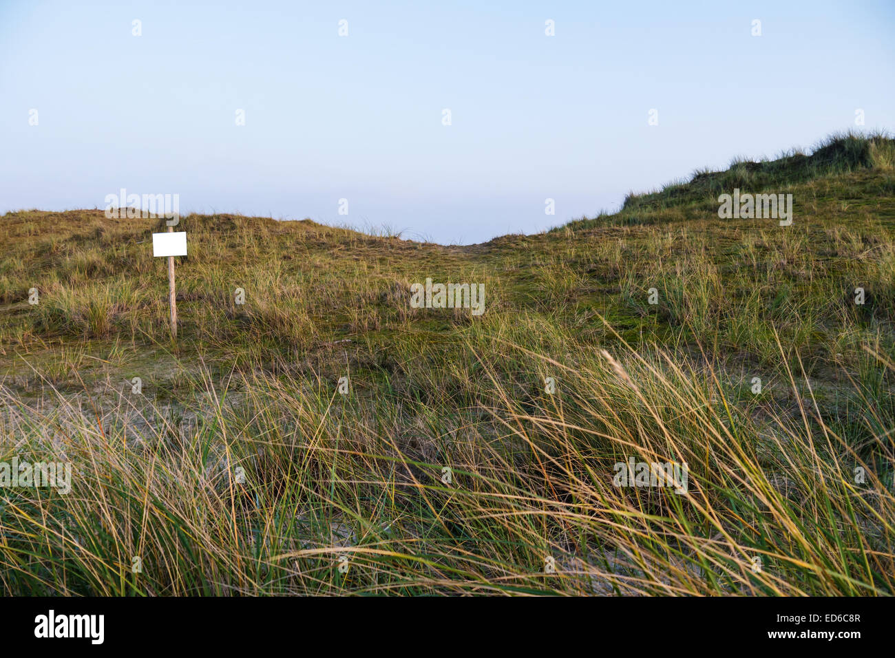 Dünenlandschaft und Zeichen auf norderney Stockfoto
