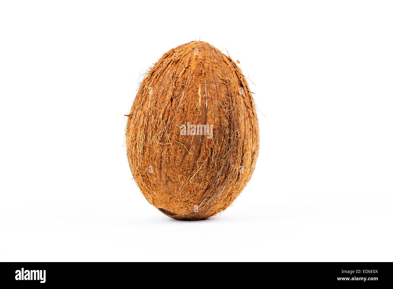 Kokosnuss auf weißem Hintergrund Stockfoto