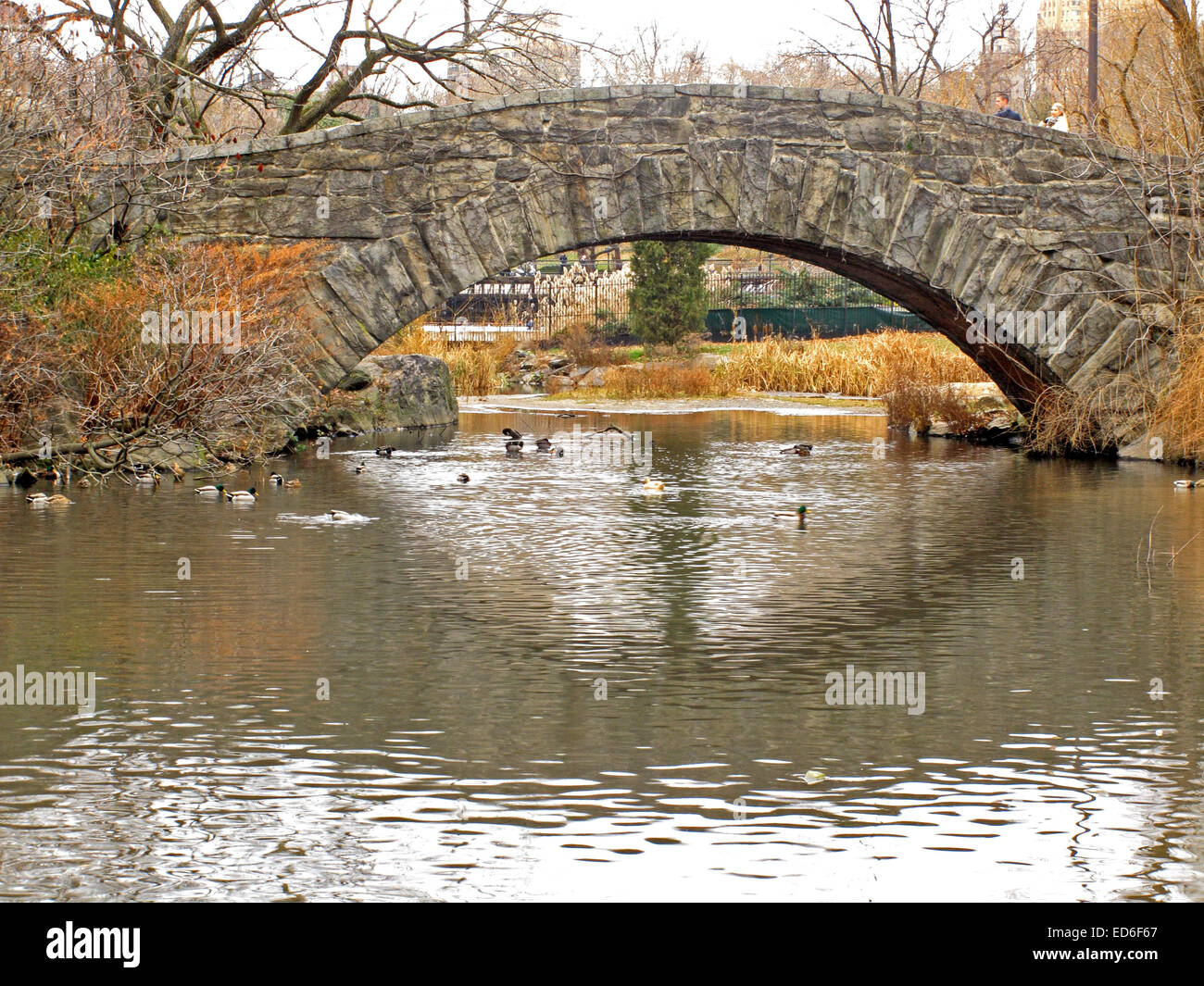 Eine alte Steinbrücke im Central Park in New York City Stockfoto