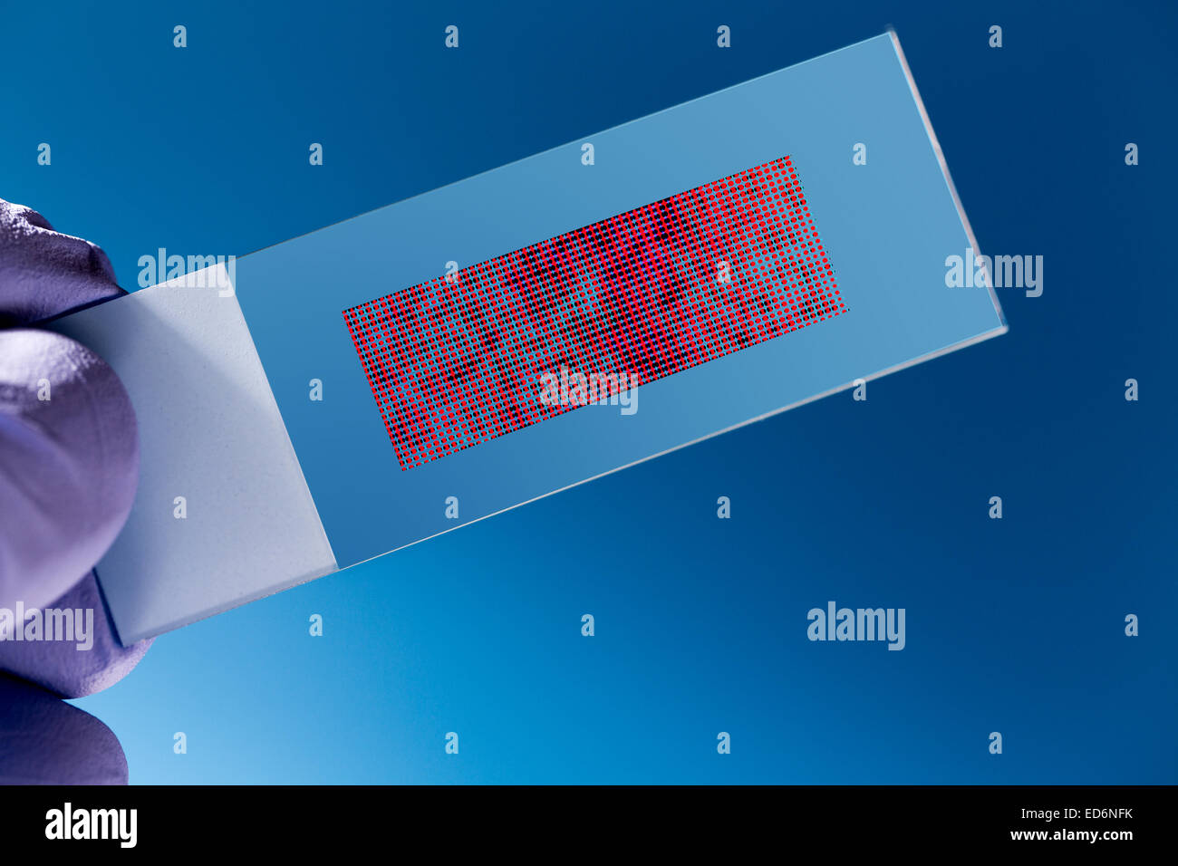 DNA-Microarray, DNA-Chip oder Biochip Array Nano DNA Spots befestigt auf einer Glasoberfläche Niveau einer großen Zahl von Messen Stockfoto