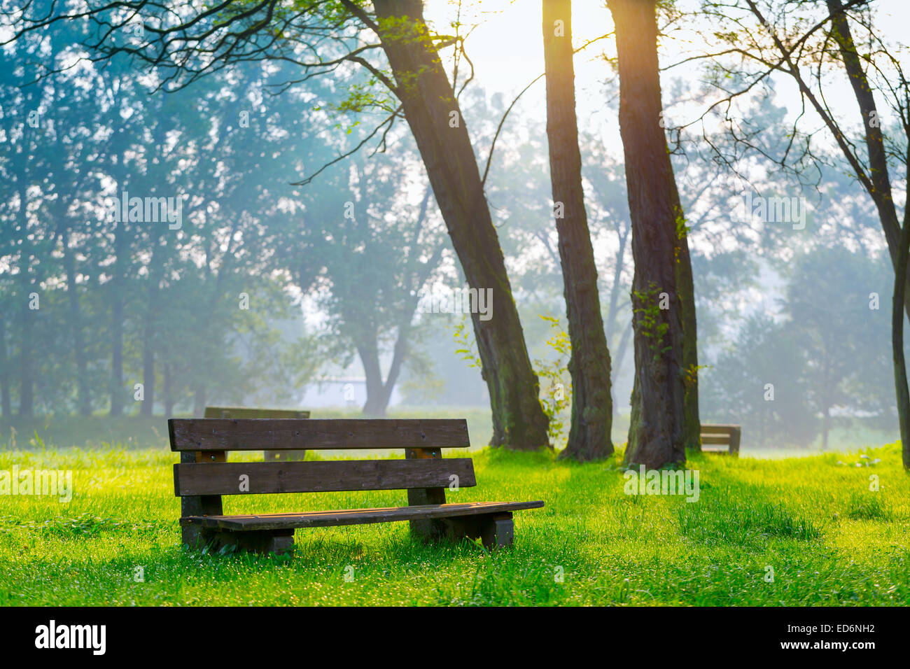 Bank im Naturpark der Stadt am Morgen Stockfoto