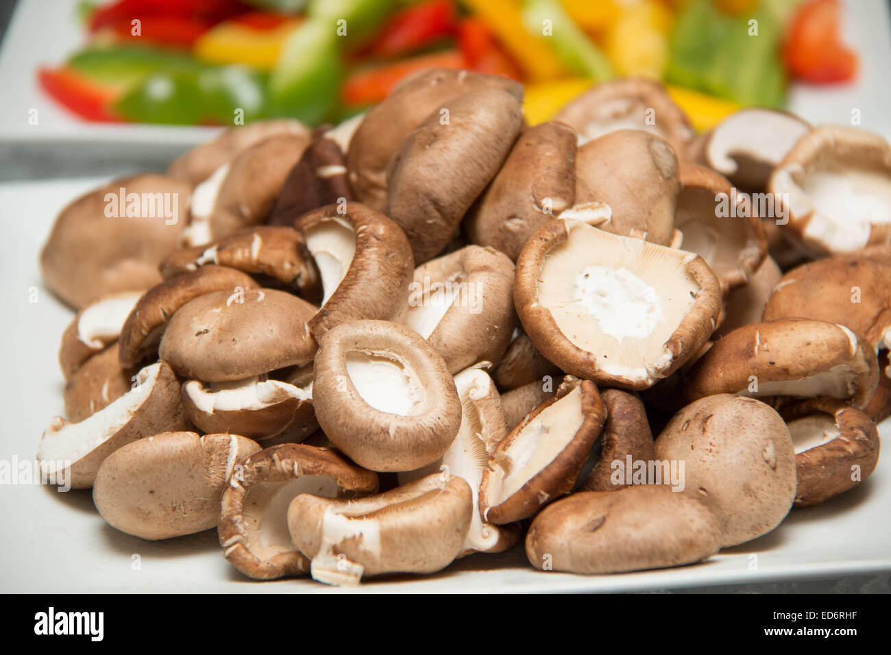 Frische Shiitake-Pilze in südostasiatischen Bauern Markt Closeup. Stockfoto