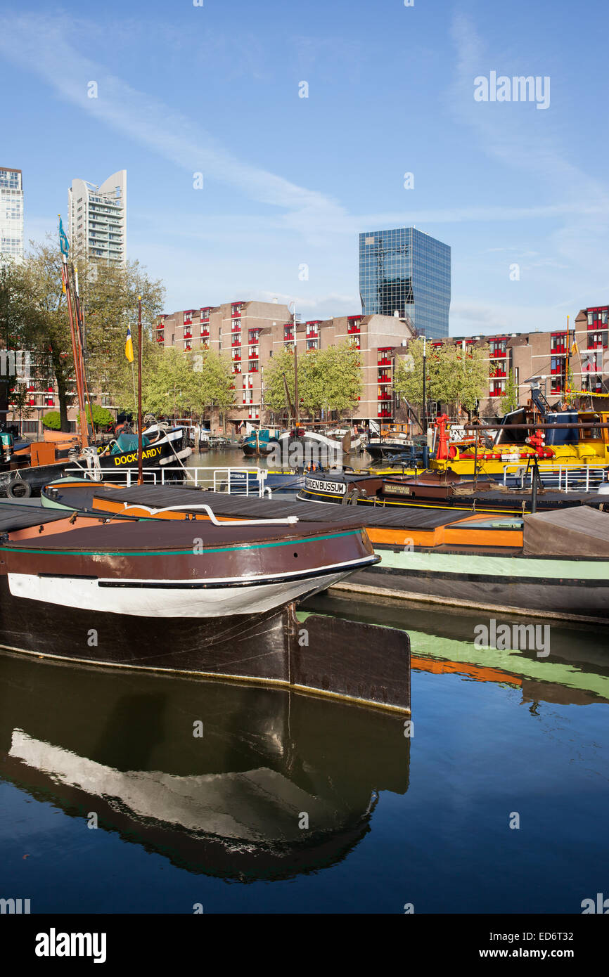 Lastkähne im Leuvehaven Hafen, Rotterdam, Holland, Niederlande. Stockfoto