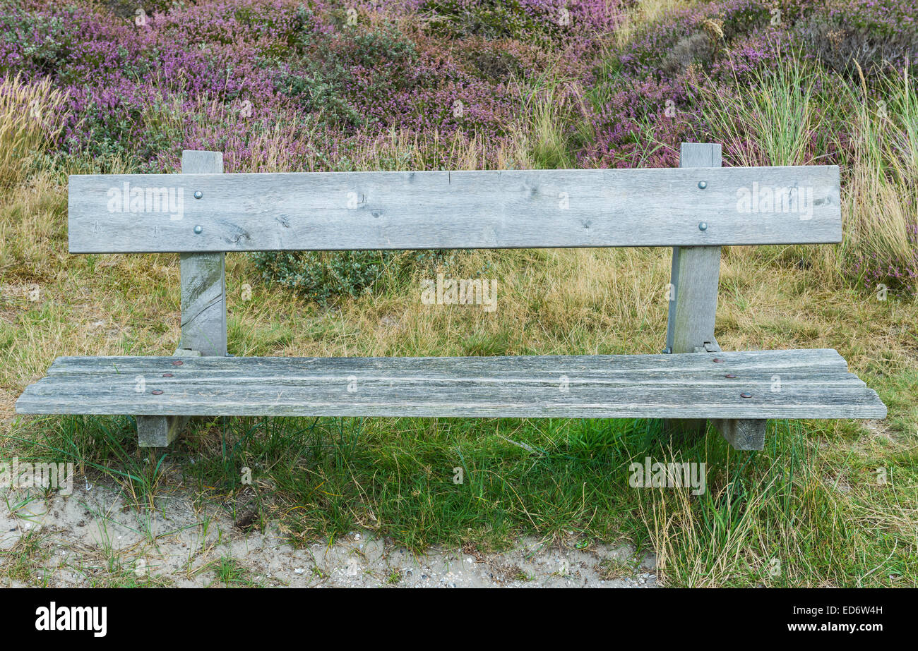 Bank im Naturschutzgebiet Nationalpark Dünen von Texel. Stockfoto