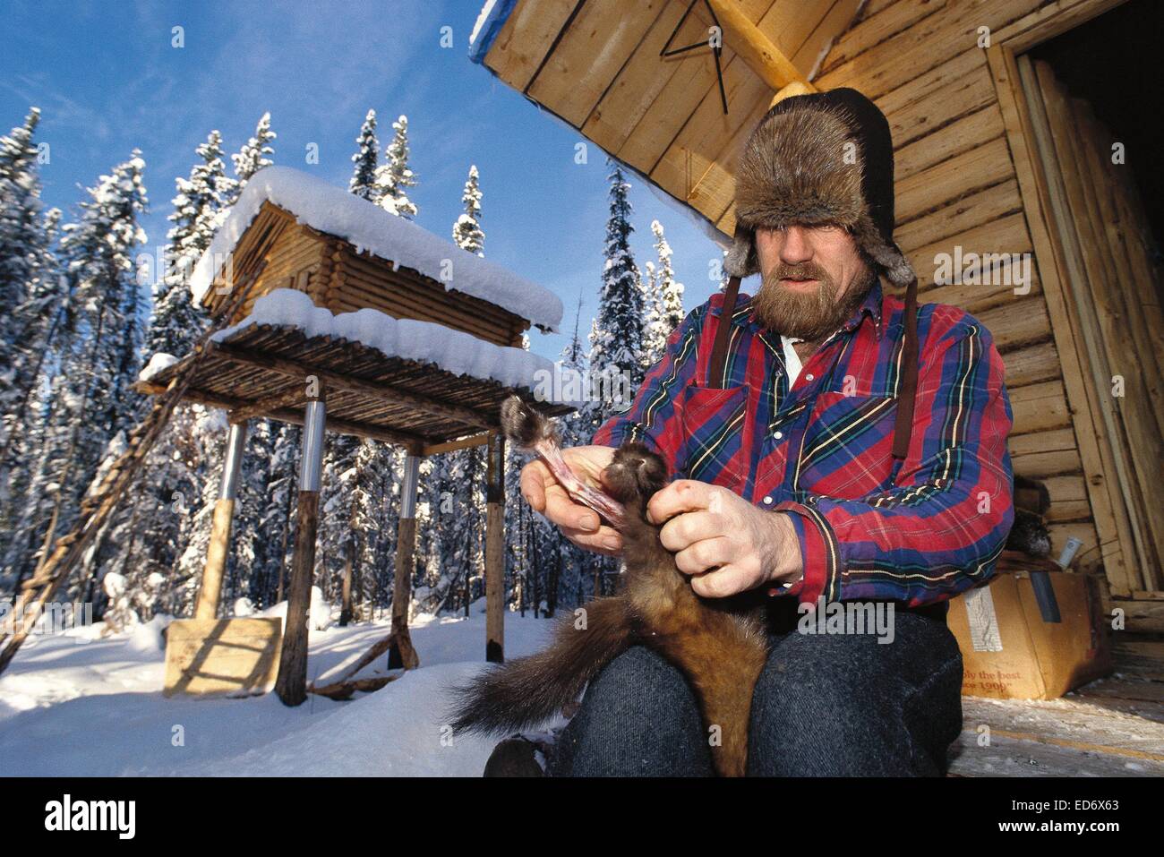 Stuart Macalister Trapper Yukon Stockfoto