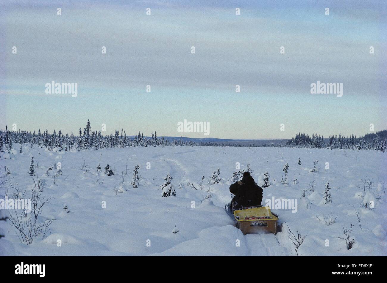 Stuart Macalister Trapper Yukon Stockfoto