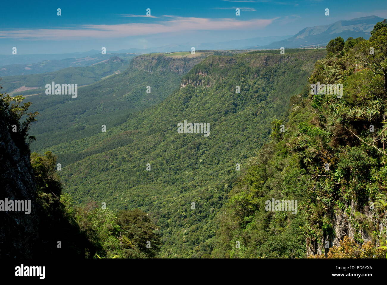 Blick auf die Ostseite Böschung der Nördlichen Drakensberge an Gottes Fenster; Südafrika Stockfoto
