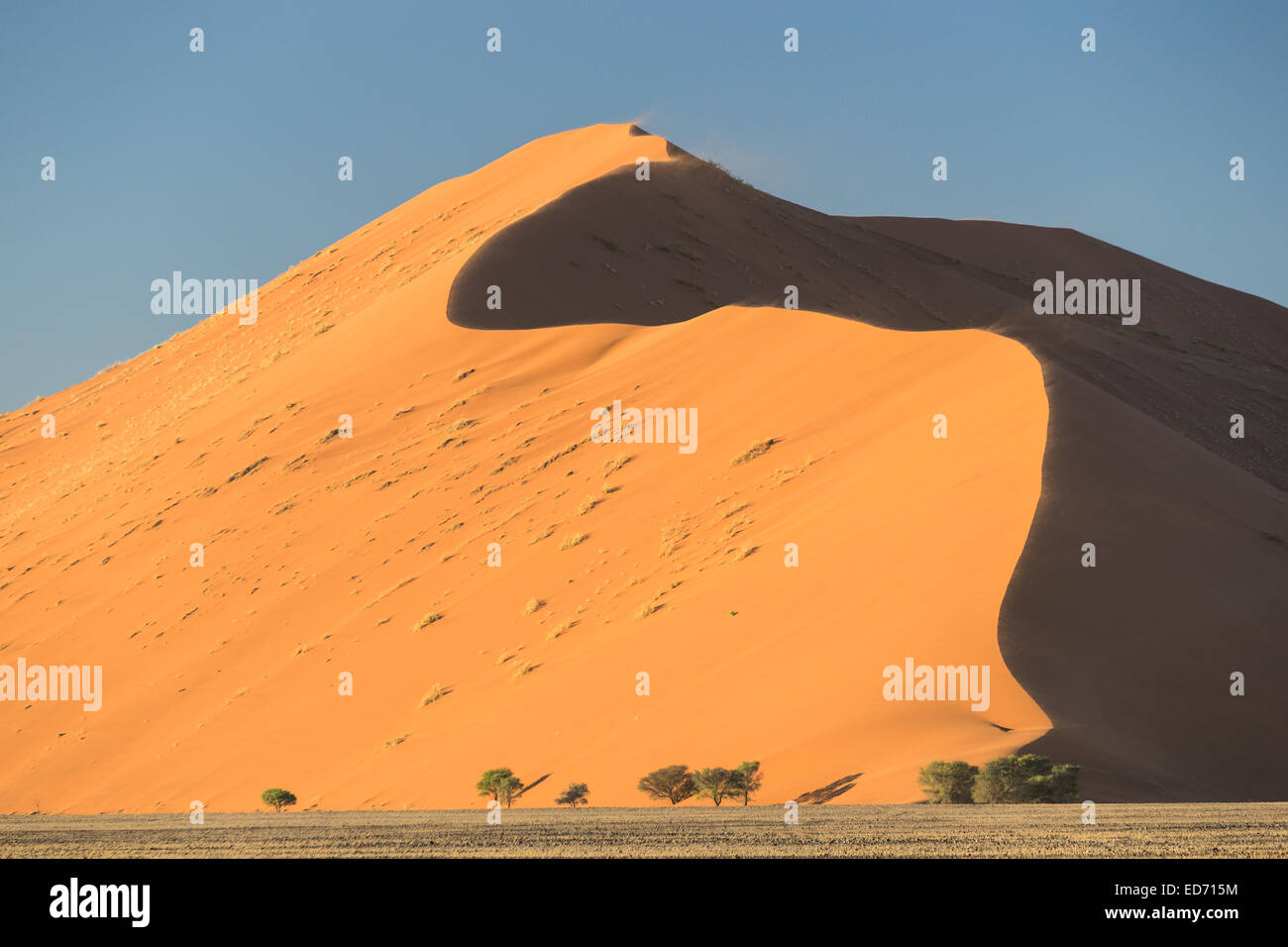 Dünen, Sossusvlei, Namib-Naukluft Nationalpark, Namibia Stockfoto