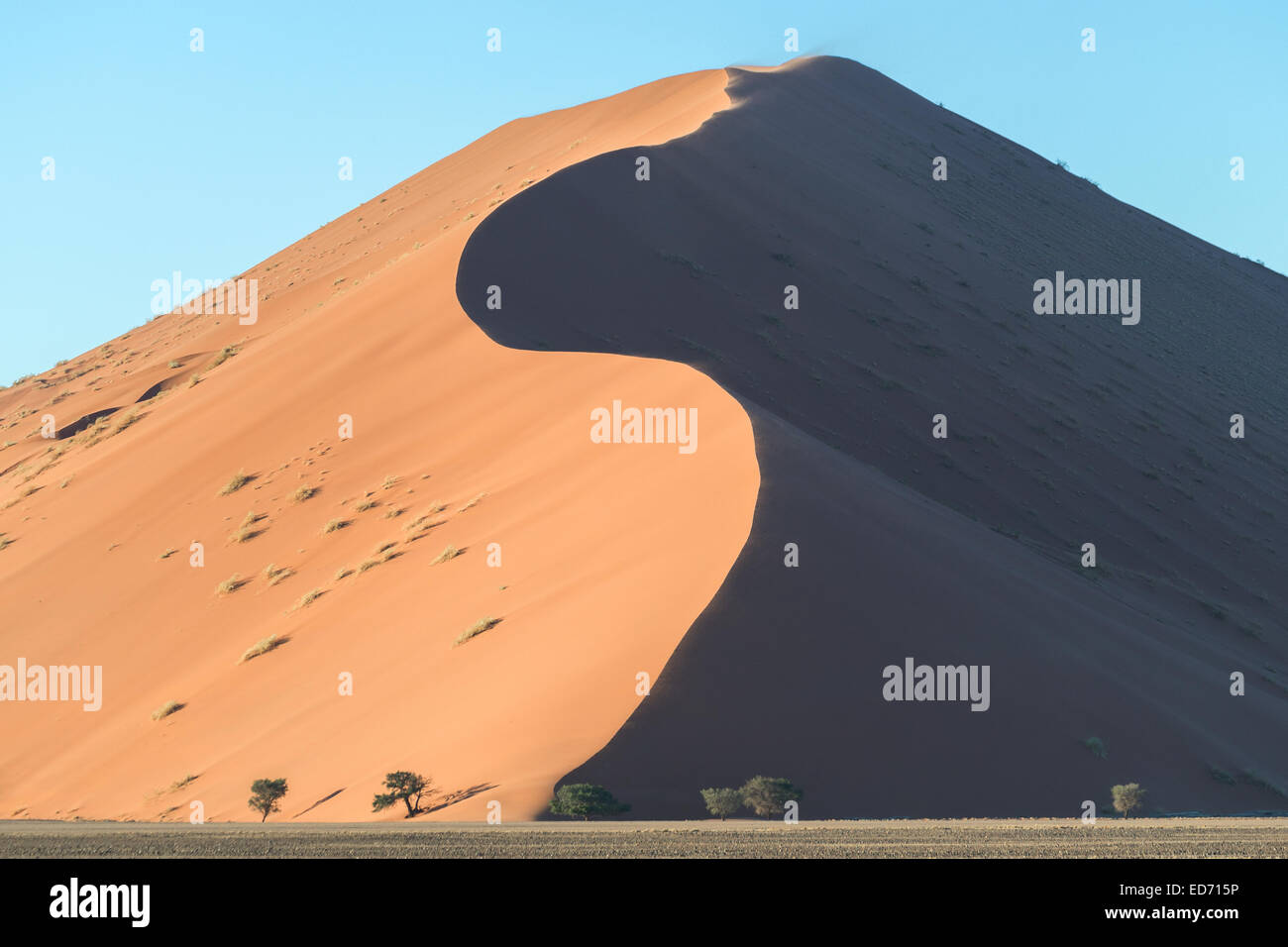 Dünen, Sossusvlei, Namib-Naukluft Nationalpark, Namibia Stockfoto