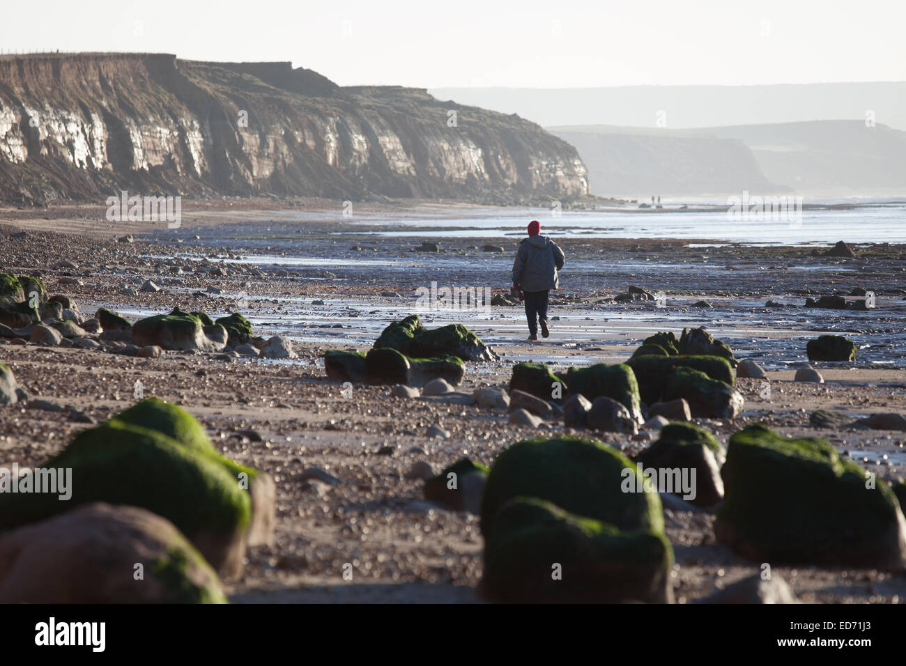 Eine Frau zu Fuß entlang des Strandes am Brook Ledge auf der Isle Of Wight Stockfoto