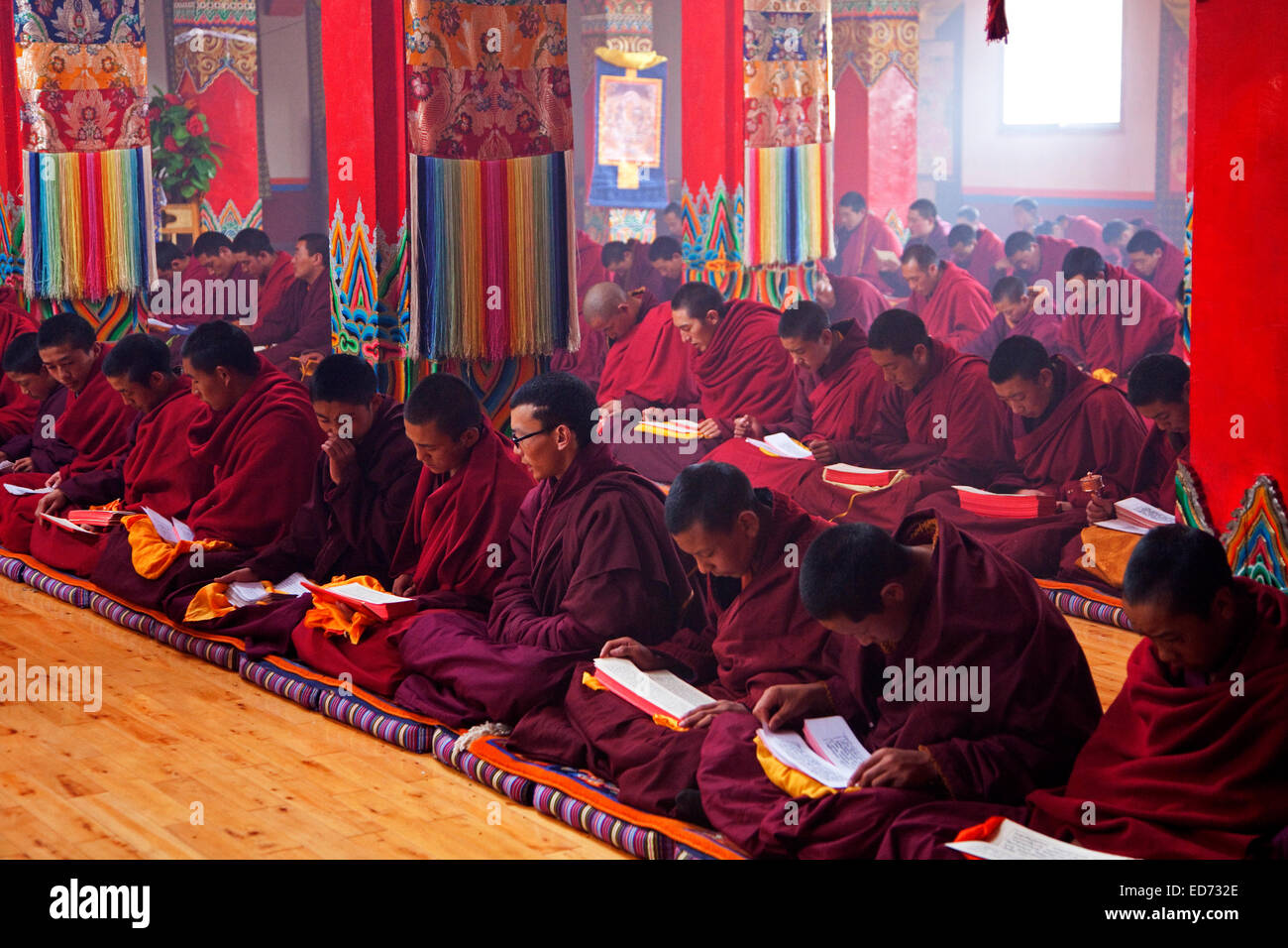 Junge tibetische Mönche sagen Mantren und meditieren im Dzogchen Gompa / Deogchen Kloster in der Nähe von Zhuqing, Provinz Sichuan, China Stockfoto