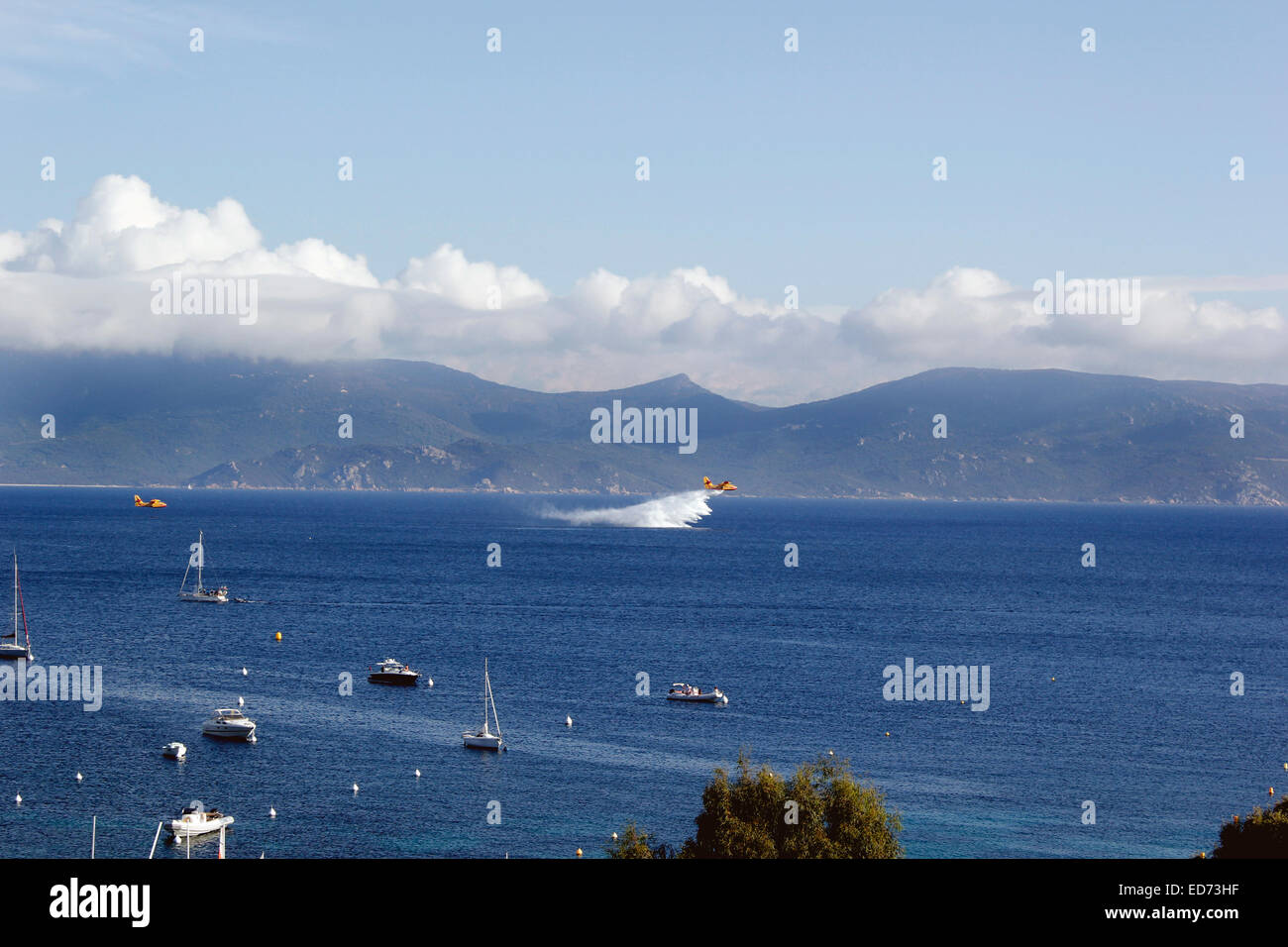 Wasserflugzeuge Meerwasser für die Brandbekämpfung in der Valinco raffte der Golfregion Corsica Stockfoto