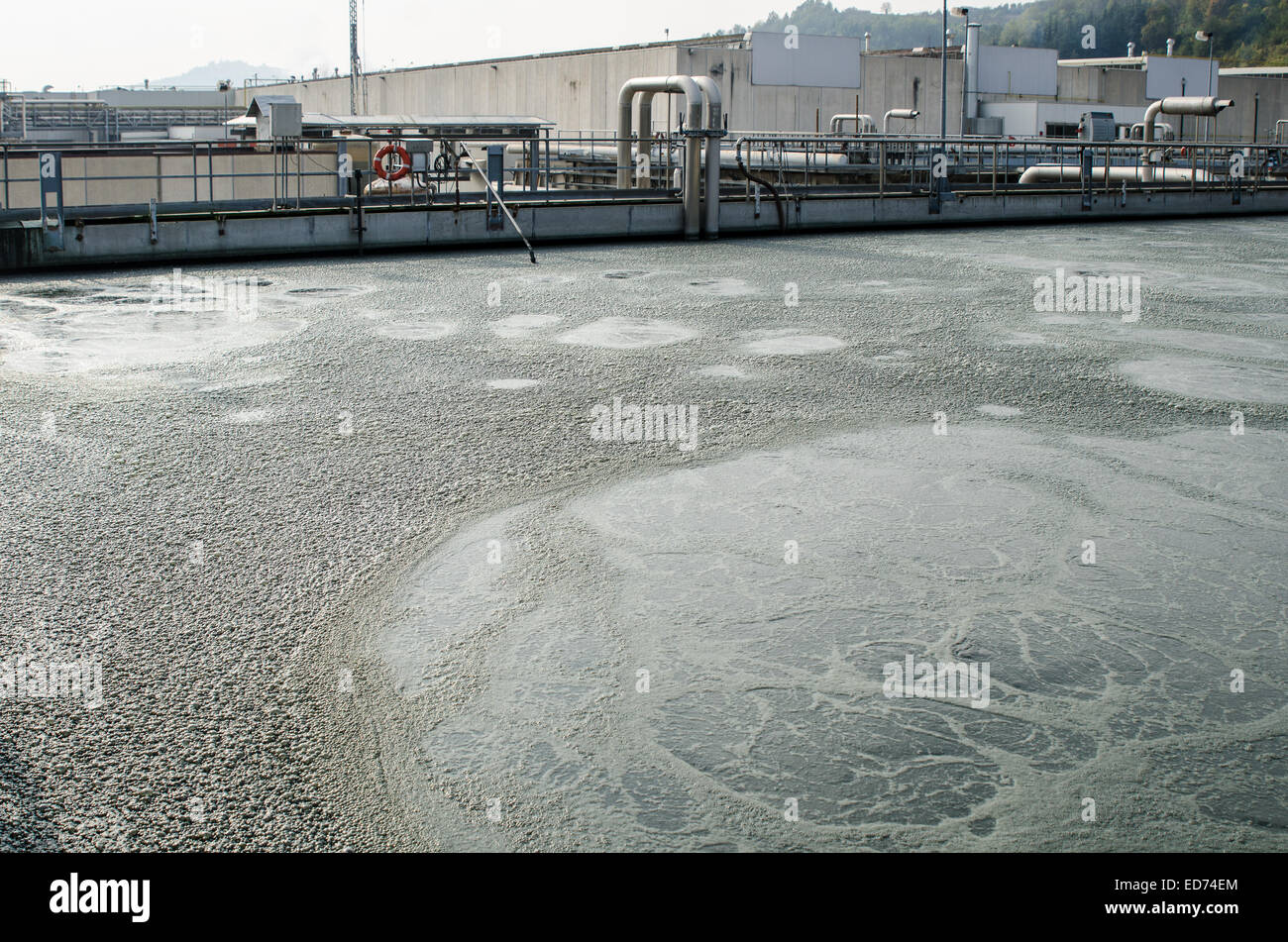 Behandlung von Abwasser mit biologischen Schlamm-Pool Stockfoto