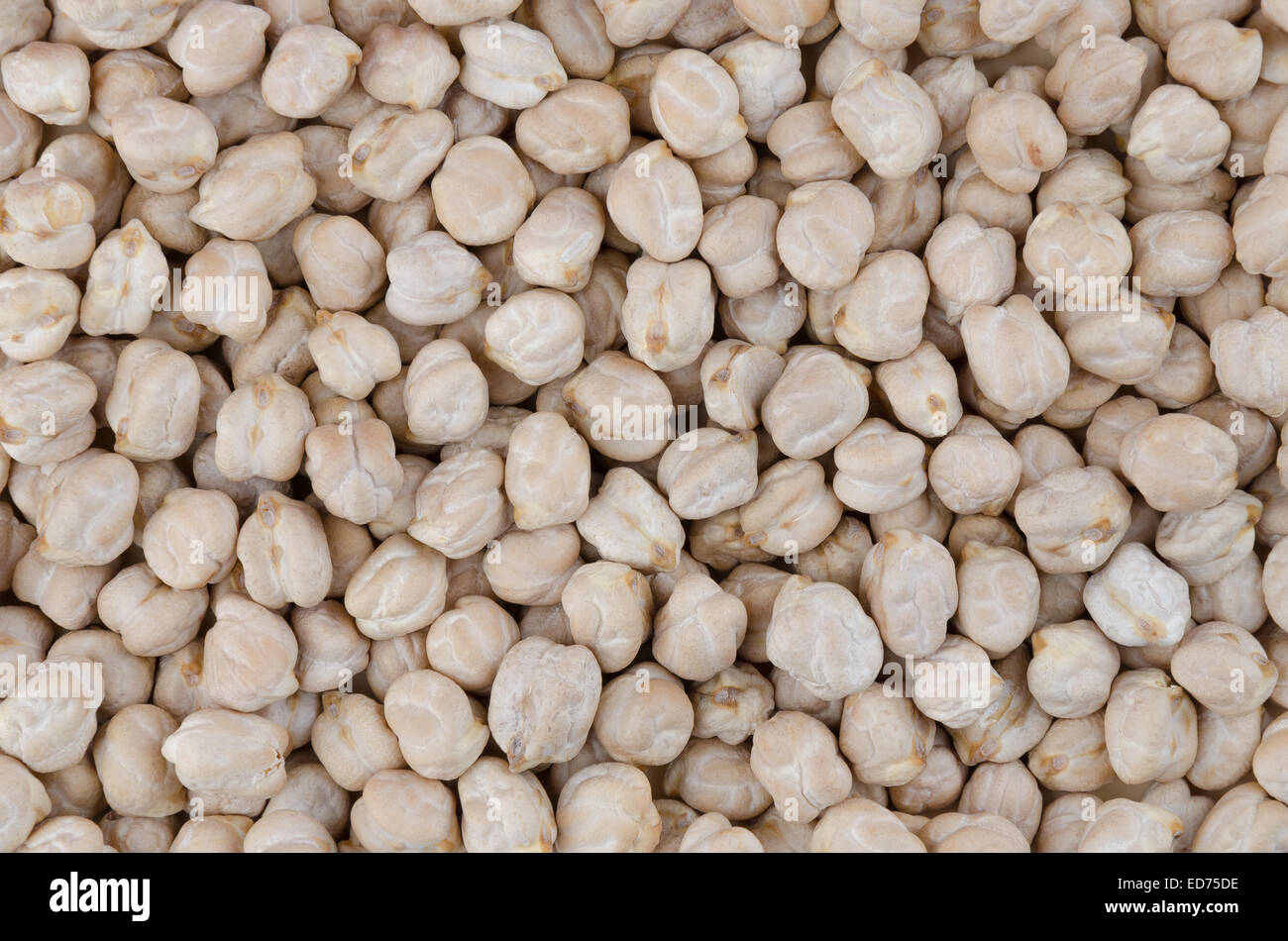 Kichererbsen-Hintergrund. Weiße Kichererbsen auf einer geraden Fläche beschichtet, verwendbar als Hintergrund. Stockfoto