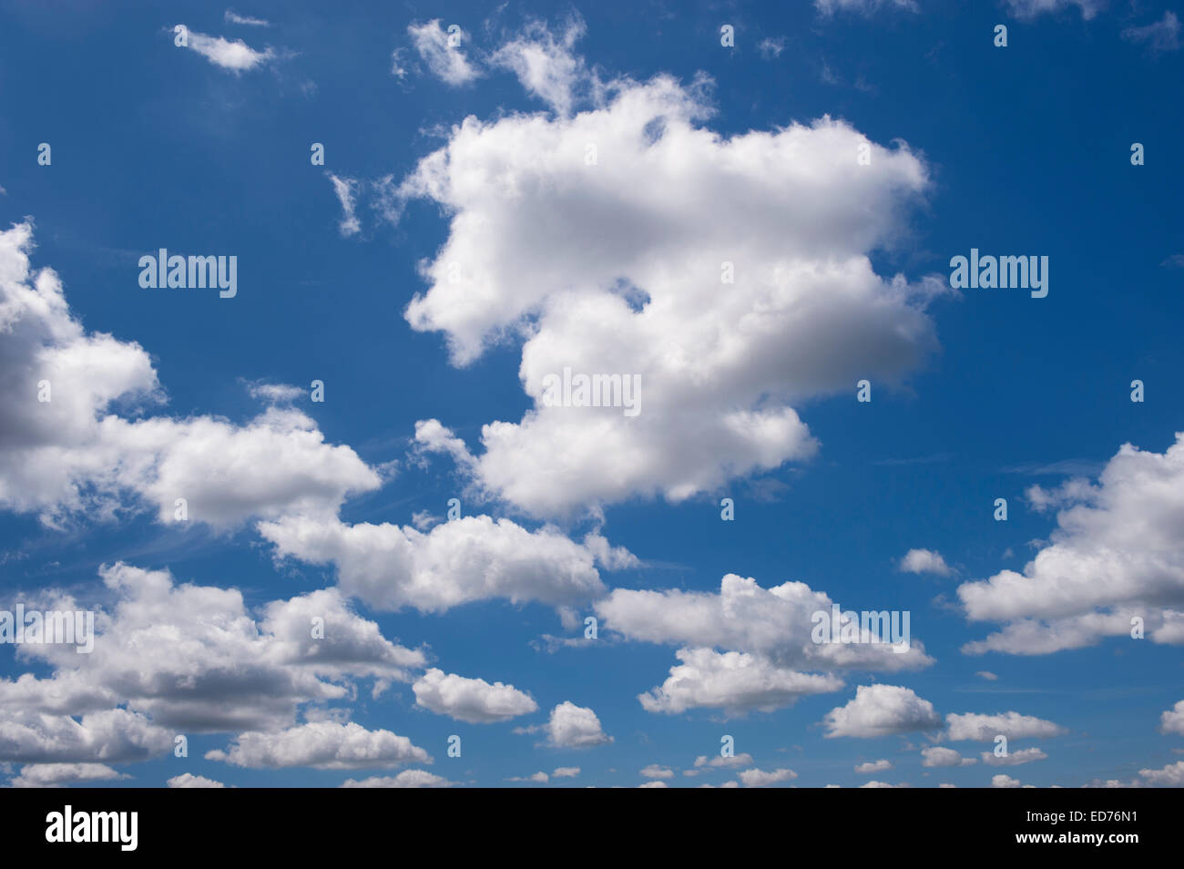 weißen Cumulus-Wolken am blauen Himmel. Stockfoto