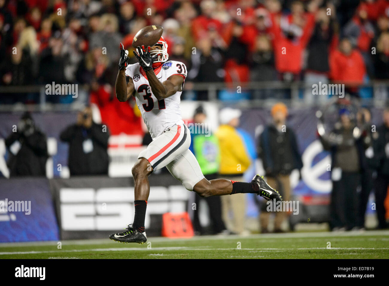 Charlotte, NC, USA. 30. Dezember 2014. UGA FLK Chris Conley (31) Fänge ein Touchdown pass während Belk Schüssel NCAA Football-Spiel zwischen Georgia Bulldogs und die Louisville Kardinäle bei Bank of America Stadium am 30. Dezember 2014 in Charlotte, Nord-Carolina.Georgia Niederlagen Louisville 37-14.Jacob Kupferman/CSM/Alamy Live News Stockfoto