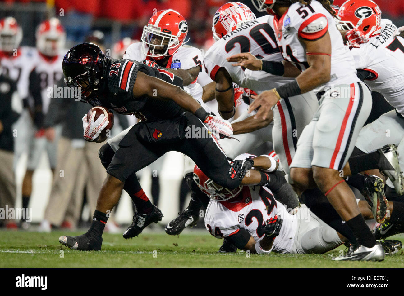 Charlotte, NC, USA. 30. Dezember 2014. Louisville RB Brandon Radcliff (23) während der Belk Schüssel NCAA Football-Spiel zwischen der Georgia Bulldogs und die Louisville Kardinäle bei Bank of America Stadium am 30. Dezember 2014 in Charlotte, North Carolina.Georgia besiegt Louisville 37-14.Jacob Kupferman/CSM/Alamy Live News Stockfoto