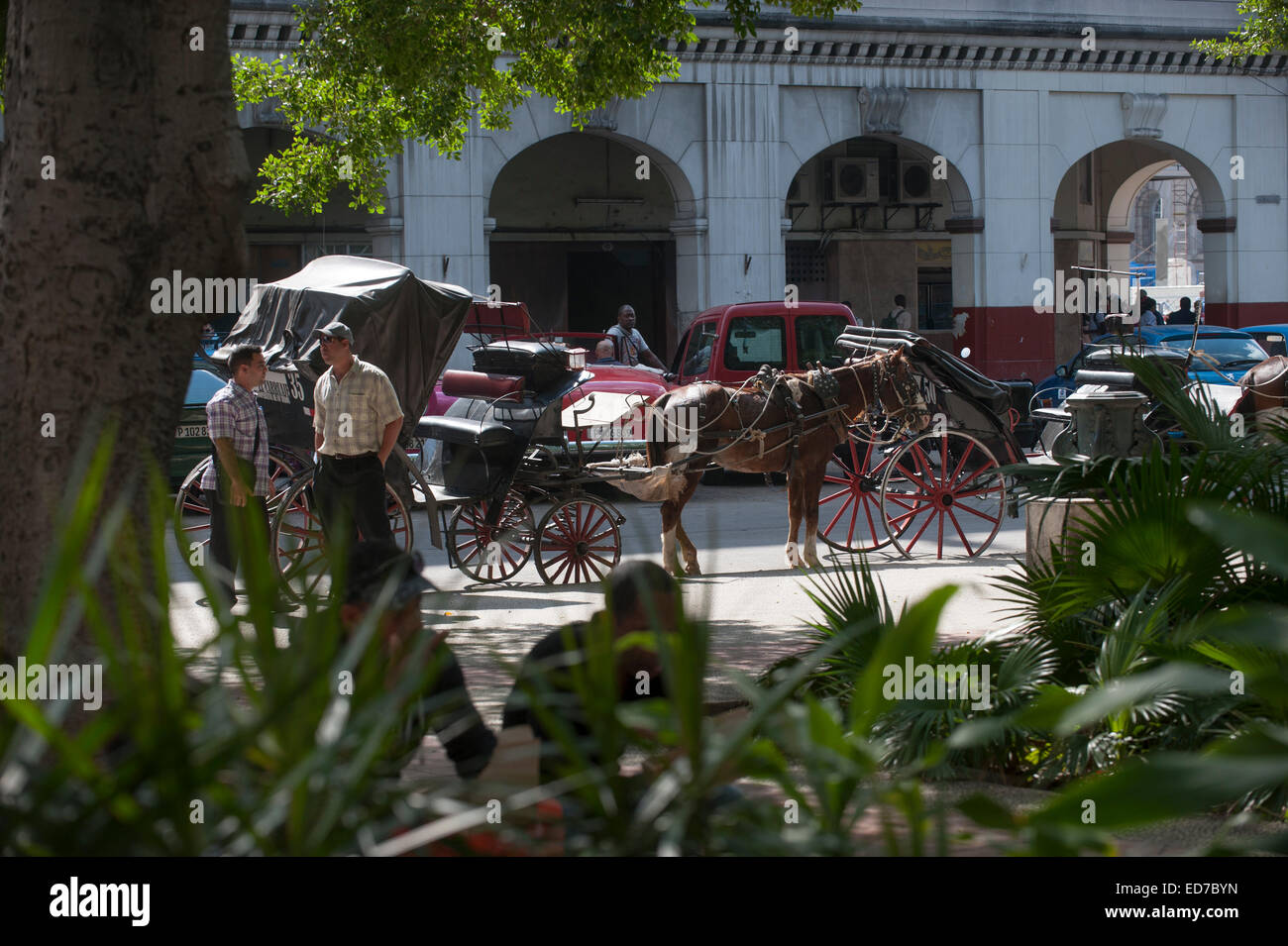 Havanna, Kuba 14. Dezember 2014 Bild von Marc Marnie WELTRECHTE Stockfoto