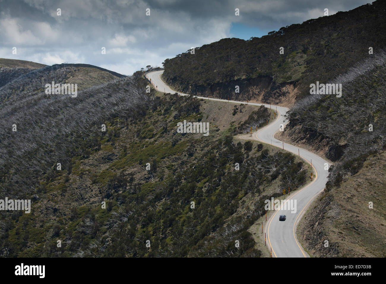 Eine enge S Biegung auf der Great Alpine Road als es schlängelt sich entlang der Seite des Mt Hotham Victoria Australien Stockfoto