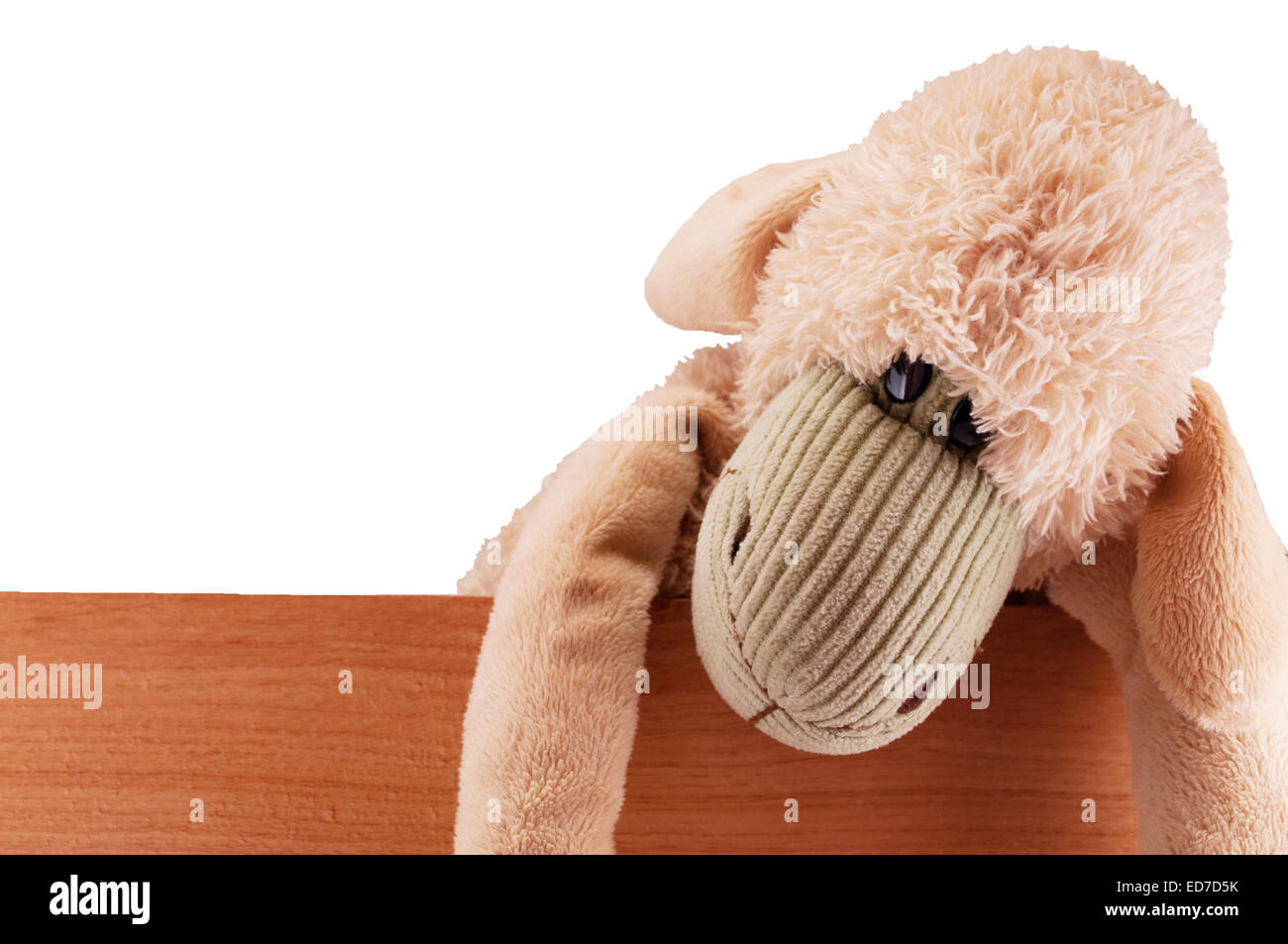 Spielzeug-Schafe Stockfoto