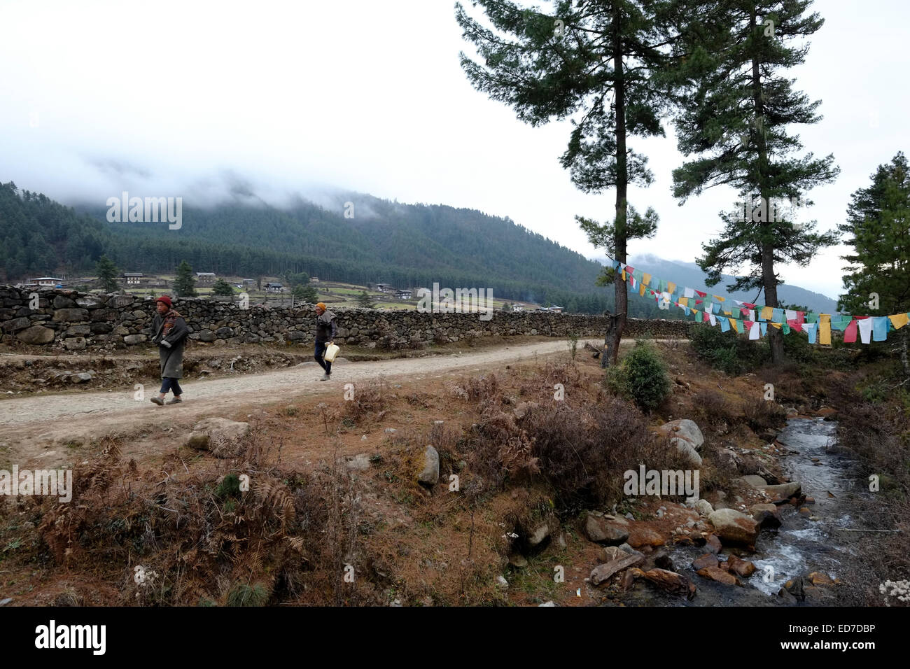 Dorfbewohner wandern auf dem Ganday Nature Trail im Phobjikha Tal Auch oft als Gangtey oder Gangtay in Zentral-Bhutan bekannt Stockfoto