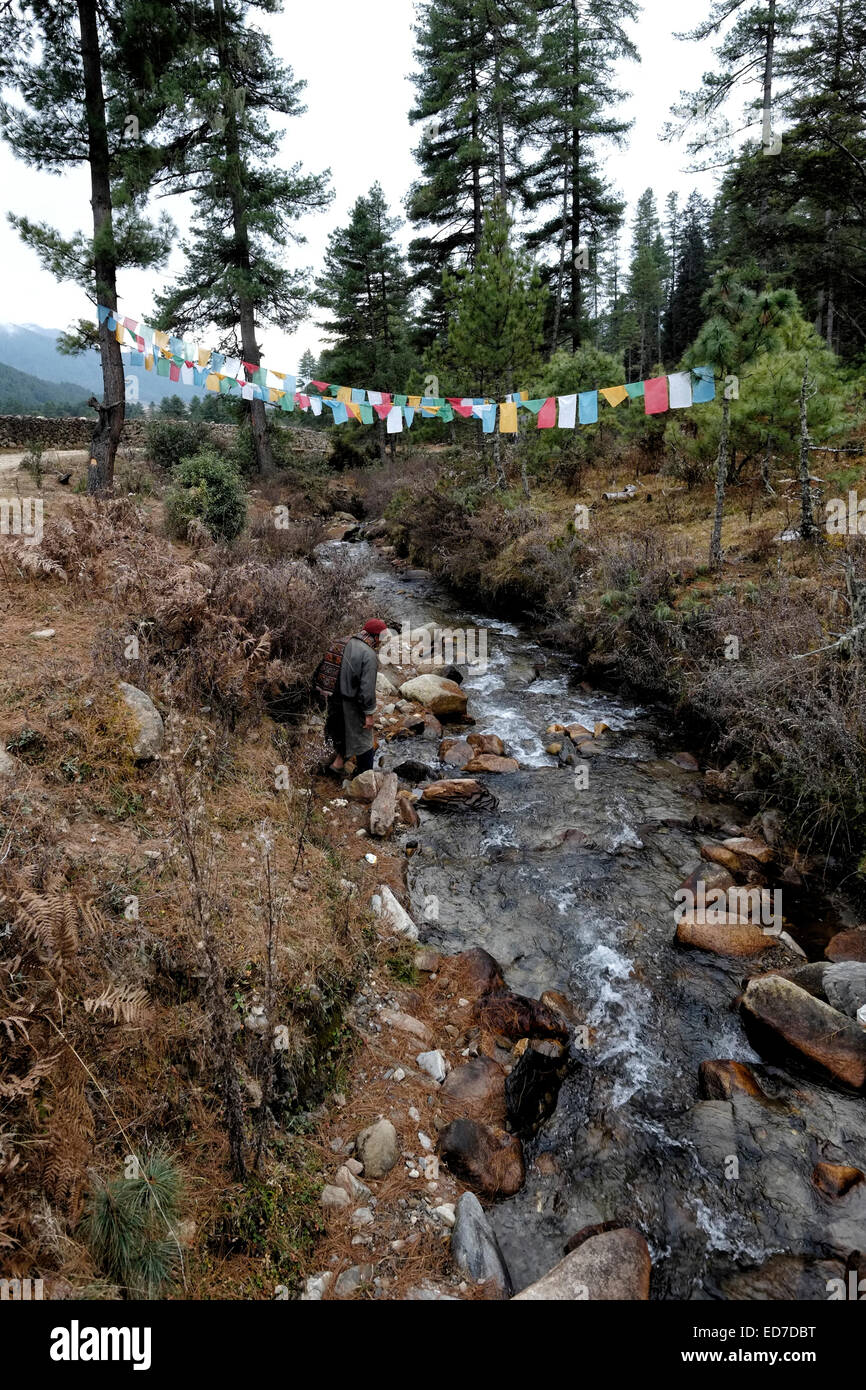 Kleiner Fluss, der durch das Phobjikha-Tal fließt, ist auch oft bekannt Als Gangtey oder Gangtay in Zentral-Bhutan Stockfoto