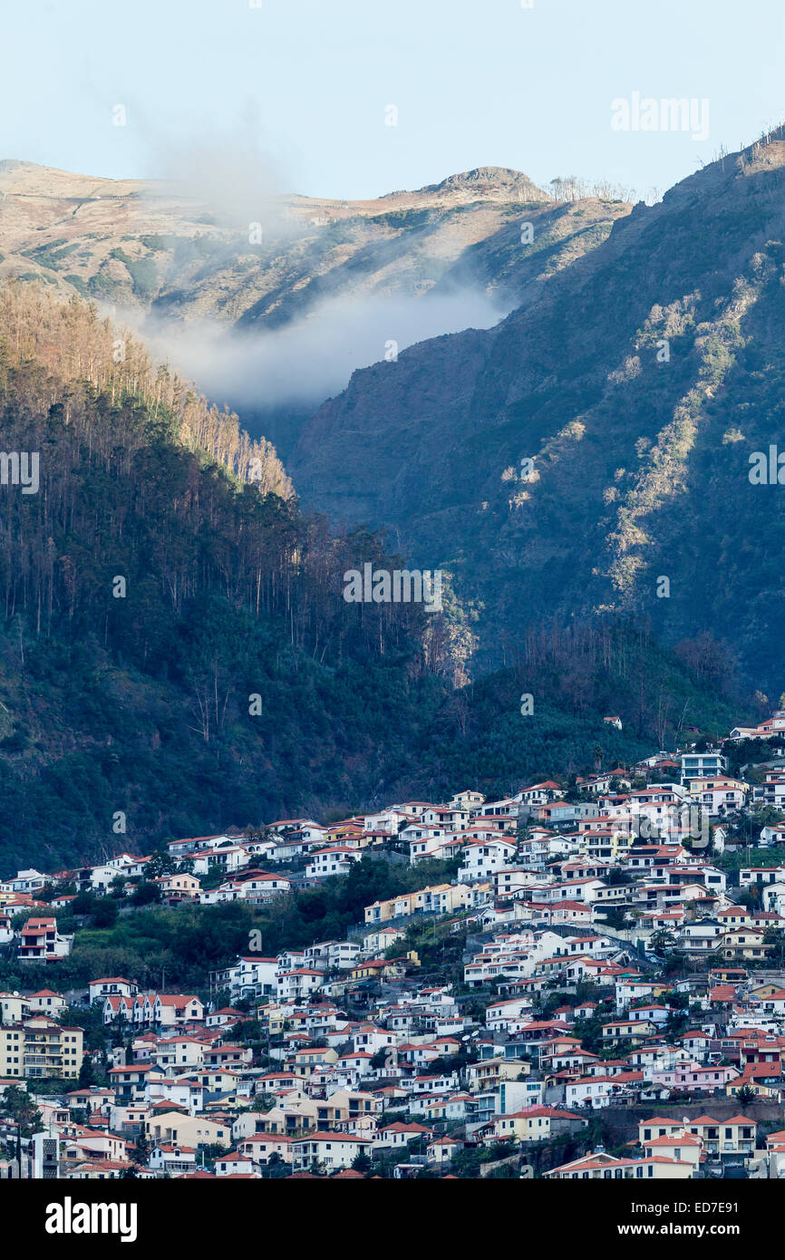 Am frühen Morgennebel in den Bergen oberhalb von Madeira. Stockfoto