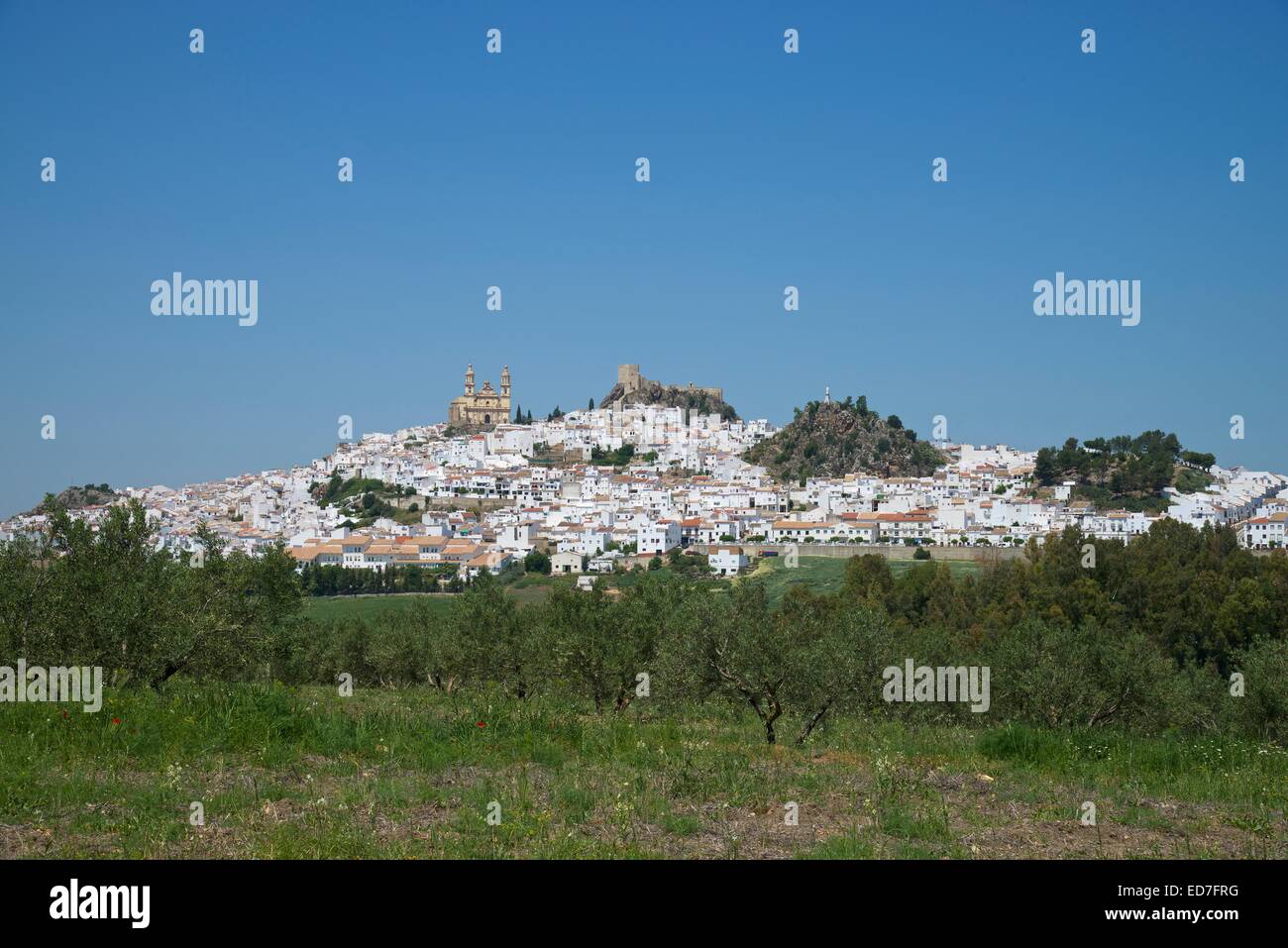 Olvera mit der Nuestra Señora De La Encarnación Kirche und einer maurischen Burg, Olvera, weißen Dörfer Andalusiens, Spanien Stockfoto