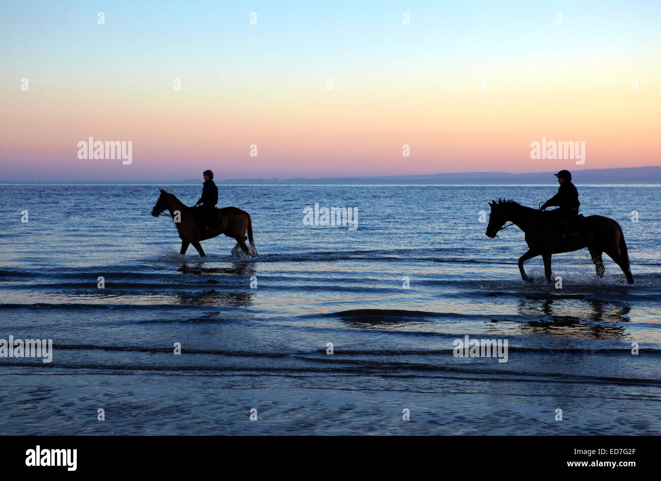 Zwei Pferde, die zu Fuß in das Meer bei Whitmore Bay, Barry Island, South Wales. Stockfoto