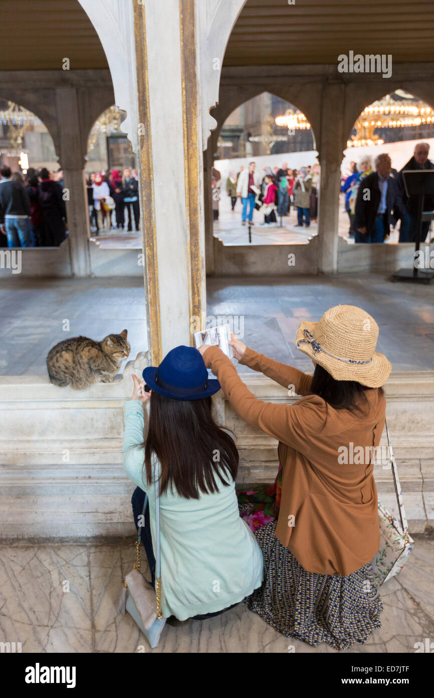 Japanische Touristen Hagia Sophia, Ayasofya Muzesi Moschee Museum mit Tablet Foto Katze in Istanbul, Türkei Stockfoto