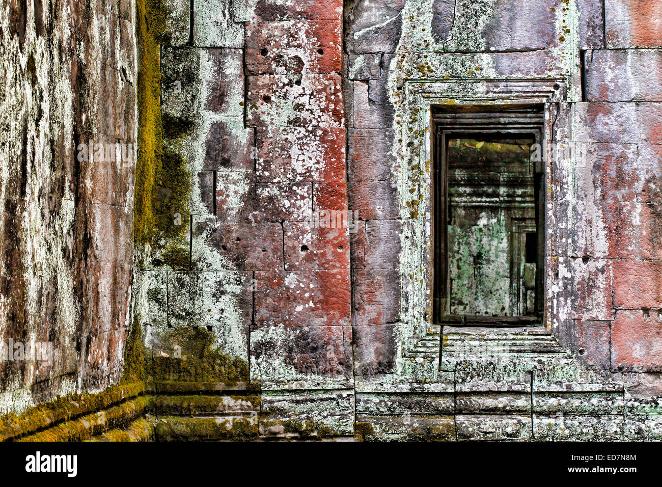 Ta Prohm Tempel in Angkor, Kambodscha Stockfoto