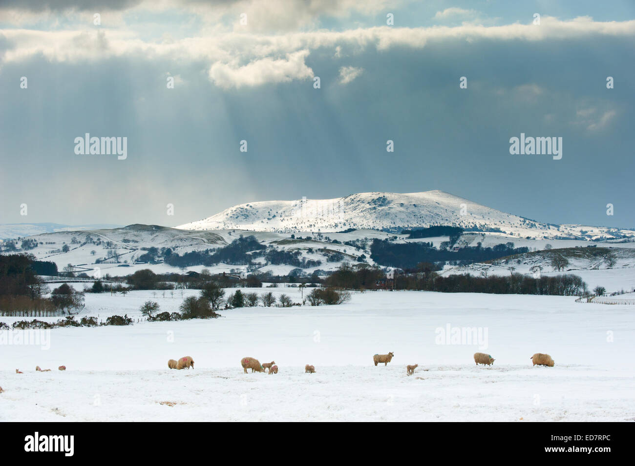Wintersonne über Corndon Hügel, Wales, in der Nähe von Regal in Shropshire, England. Stockfoto