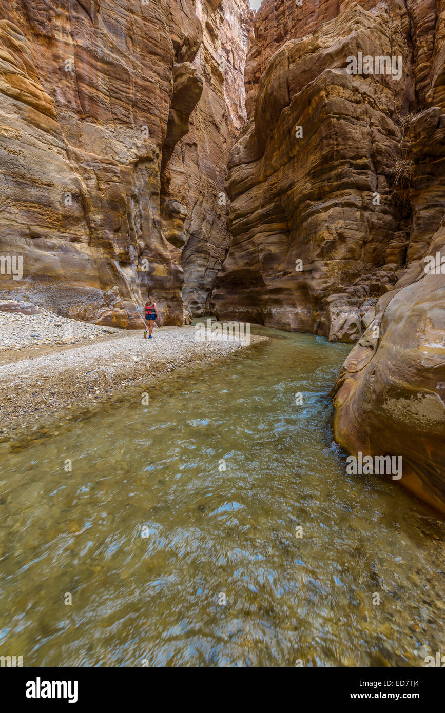 Die Mujib Reserve von Wadi Mujib ist das niedrigste Naturschutzgebiet der Welt, befindet sich in der bergigen Landschaft im Osten von t Stockfoto