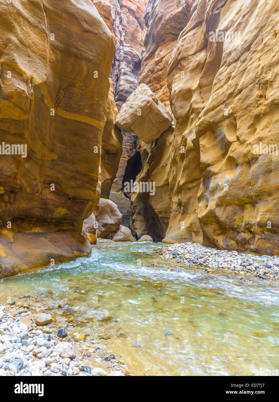 Die Mujib Reserve von Wadi Mujib ist das niedrigste Naturschutzgebiet der Welt, befindet sich in der bergigen Landschaft im Osten von t Stockfoto