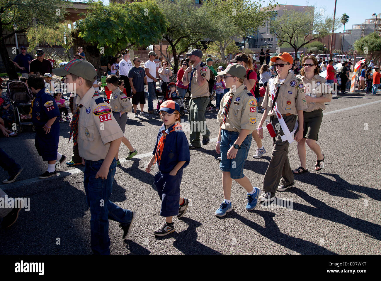 Boy Scouts of America marschieren in der Veterans Day Parade, die amerikanischen Militärs im Ruhestand, in Tucson, Arizona, USA ehrt. Stockfoto