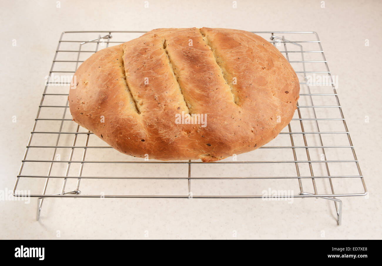 Frisch gebackenes Brot Multi Samen auf einem Kuchengitter abkühlen Stockfoto