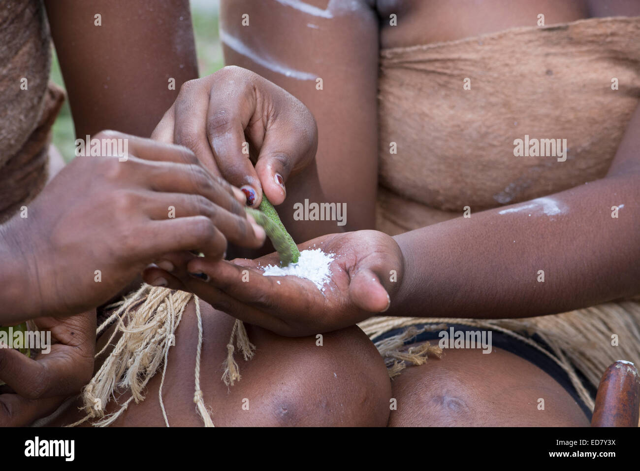 Melanesien, Salomon-Inseln, Insel Guadalcanal, Honiara. Kakabona Cultural Village. Junge Teenager-Mädchen, Zugabe von Kalk zu Käfer Nuss Stockfoto