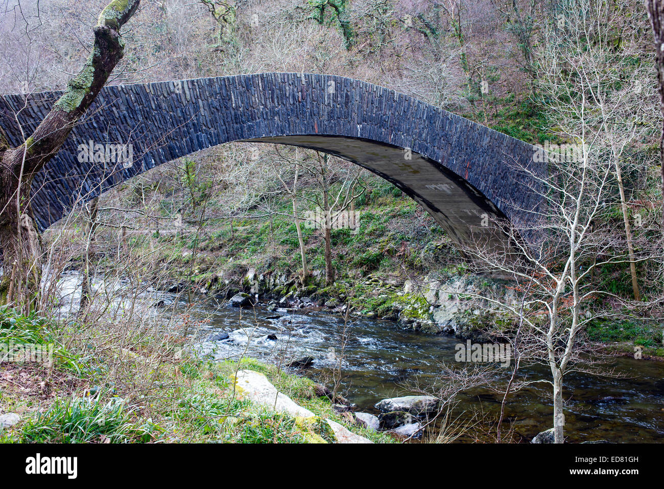 Chiselcombe Bridge über den East Lyn River in der Nähe von Lynmouth, North Devon, England, UK. Stockfoto