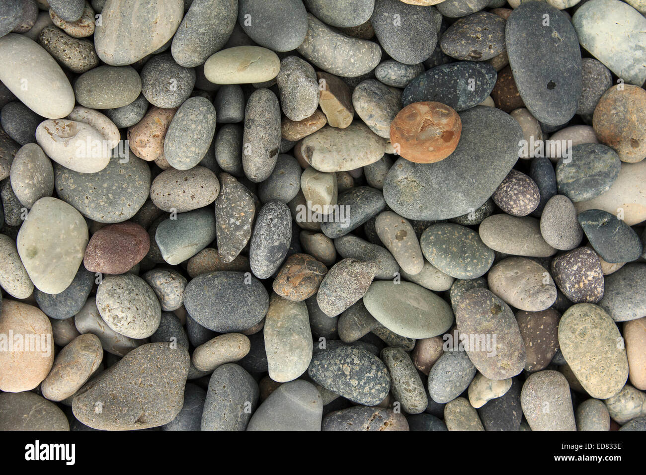 Textur der Kieselsteine am Strand Stockfoto