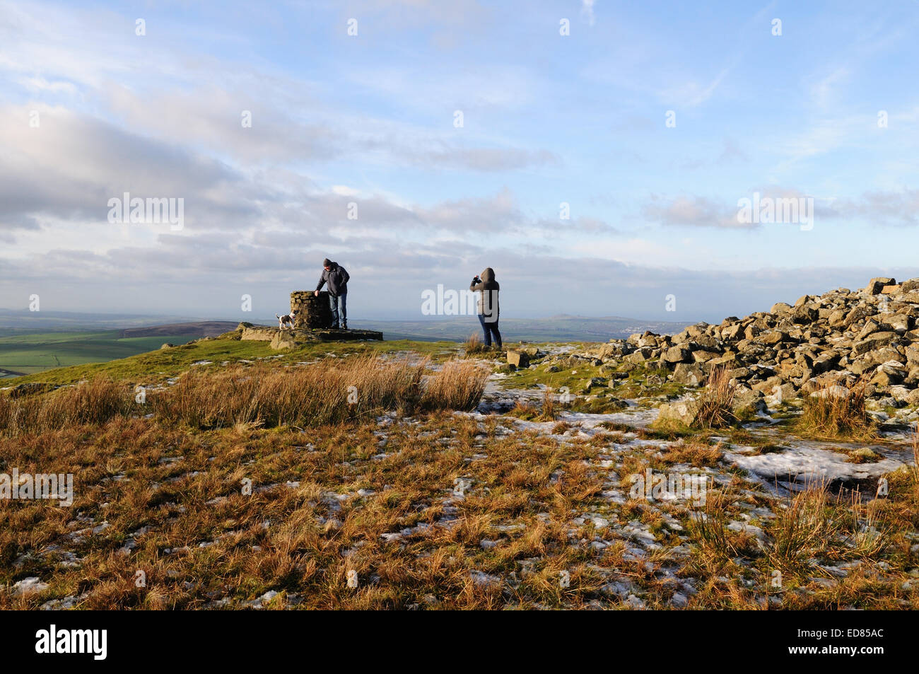 Ein Ehepaar und ihr Hund fotografieren auf dem Pembrokeshire Nationalpark Beobachtungspunkt Foel Eryr Preseli Hills Stockfoto