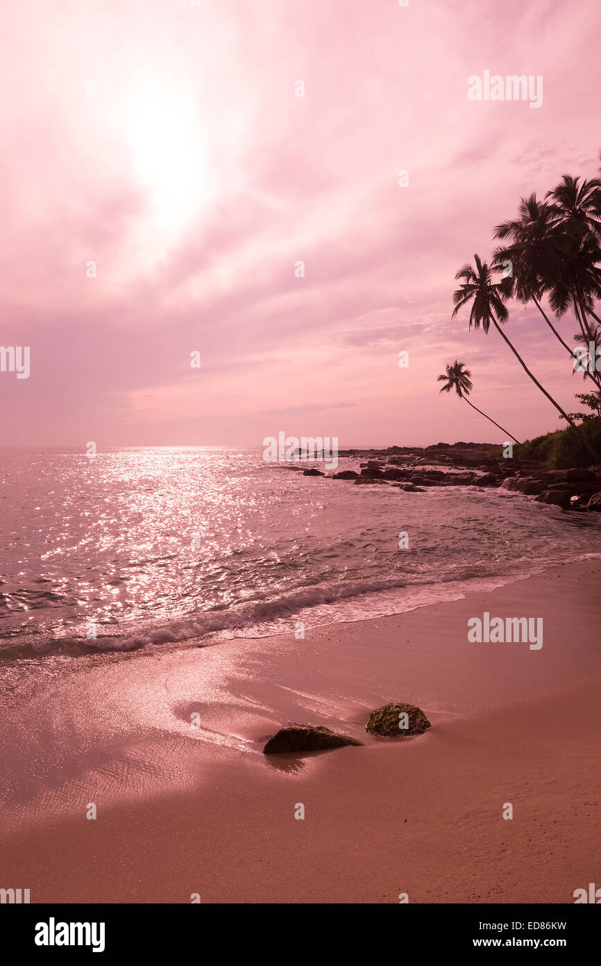 Tropische rosa Landschaft, Strand mit Palmen und Sonne reflektiert im Wasser durch den Indischen Ozean, Sri Lanka, Asien. Stockfoto