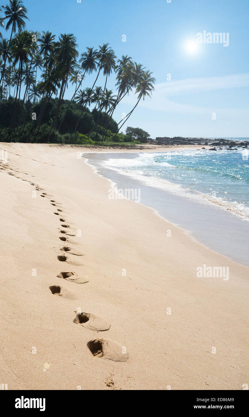 Fußabdrücke auf Paradiesstrand mit Palmen und weißem Sand, Tangalle, südlichen Provinz, Sri Lanka, Asien. Stockfoto